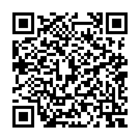 QR code for 2009IKQ