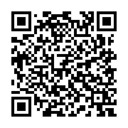 QR code for 2009NX