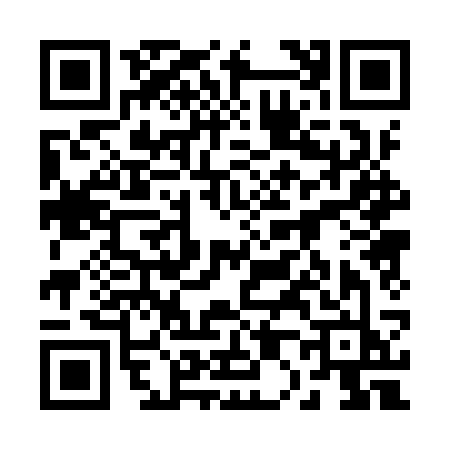 QR code for 2009SJN
