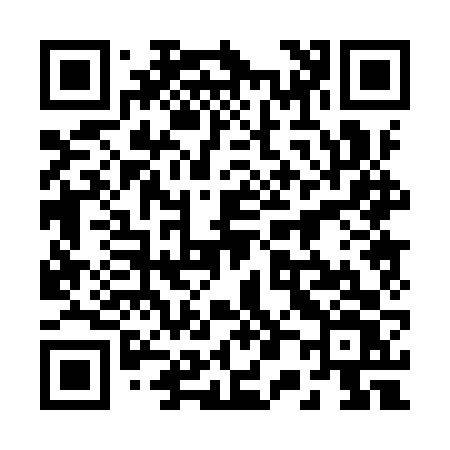 QR code for 2009VV