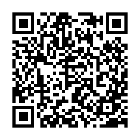 QR code for 2010DW
