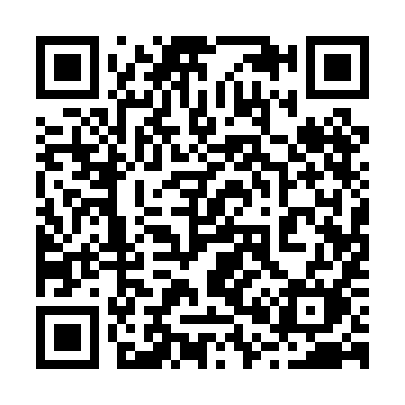 QR code for 2010IM