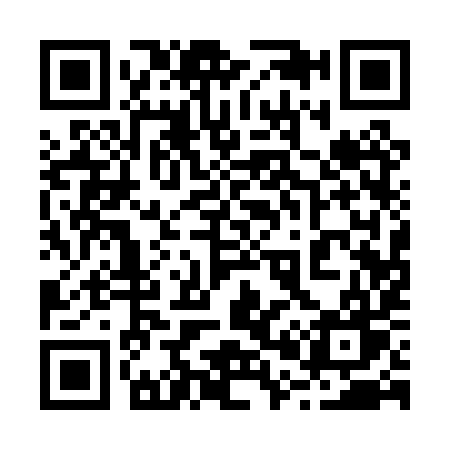 QR code for 2010YW