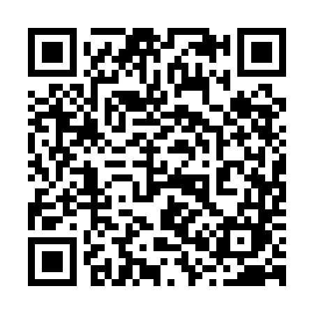 QR code for 2011DM