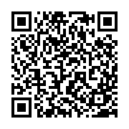 QR code for 2011DT