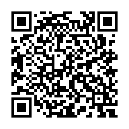 QR code for 2011HZ