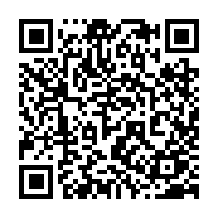 QR code for 2013JU