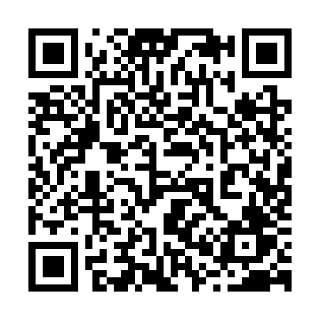 QR code for 2013ZV