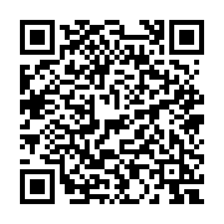 QR code for 2016PJD
