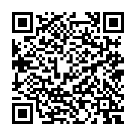 QR code for 2018DIG