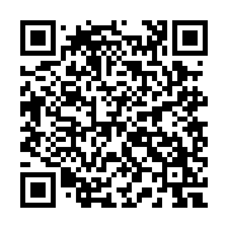 QR code for 2020HO