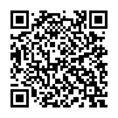 QR code for 2020IM