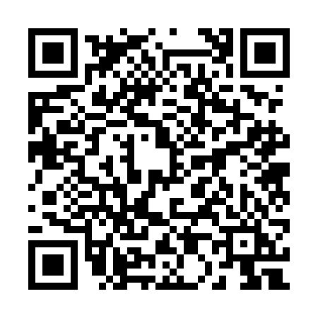 QR code for 2025FIR