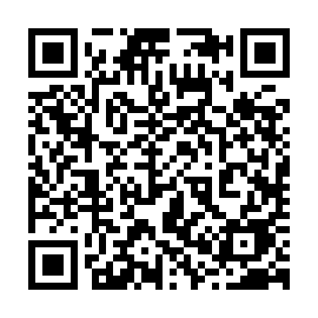 QR code for 2029AE
