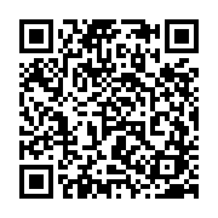 QR code for 207MDK