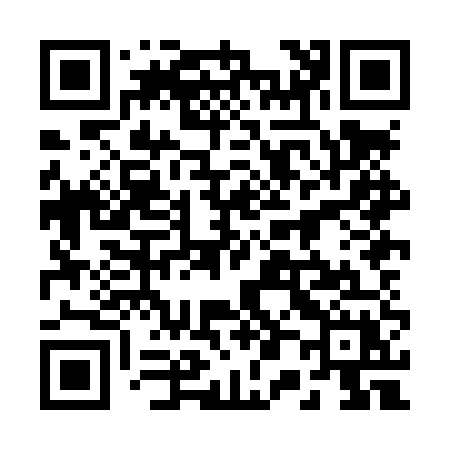 QR code for 208LUX