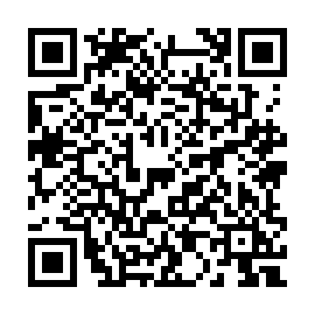 QR code for 2093HIE