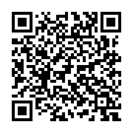 QR code for 213IDL