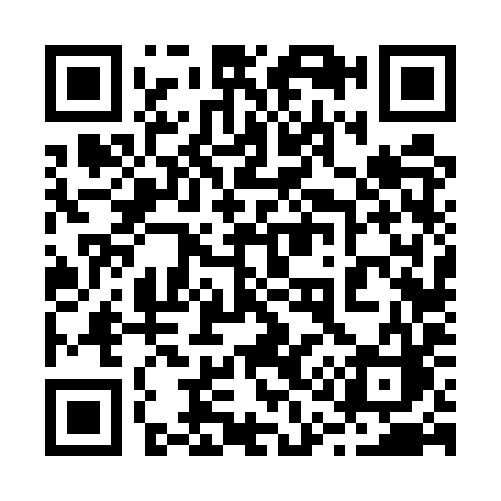 QR code for 2165YC