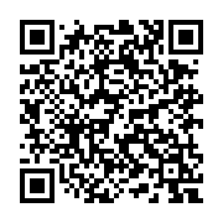 QR code for 219DMN