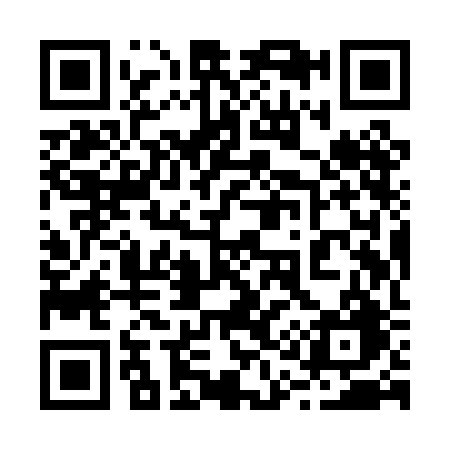 QR code for 219PBG