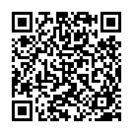 QR code for 219TIG