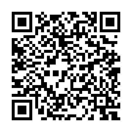 QR code for 2200HIS
