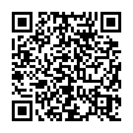 QR code for 2233DSE