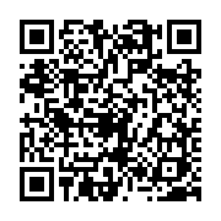 QR code for 2233FIO