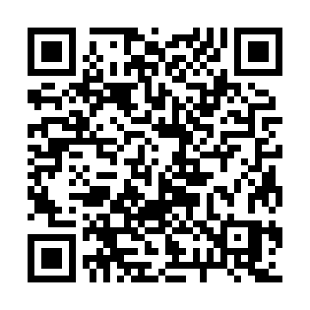 QR code for 2238ZS
