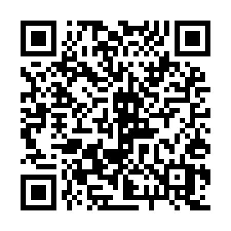 QR code for 225IET