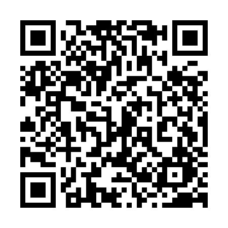 QR code for 225IJN