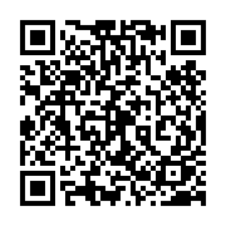 QR code for 225TEP