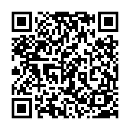 QR code for 228CFU