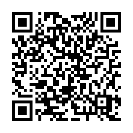 QR code for 228PZT