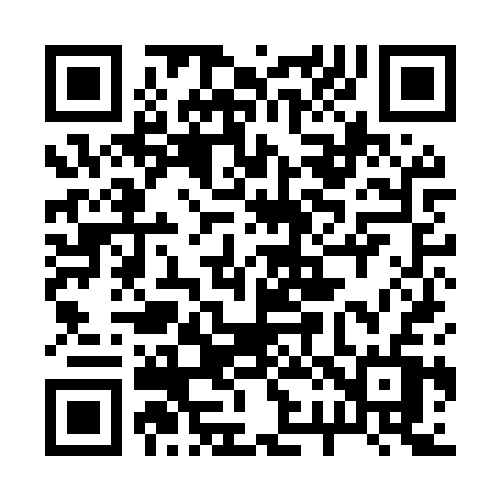 QR code for 229MSV