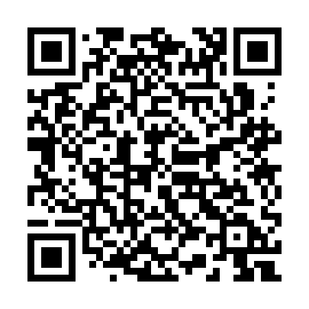 QR code for 2333AD