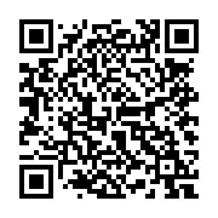 QR code for 234LSM