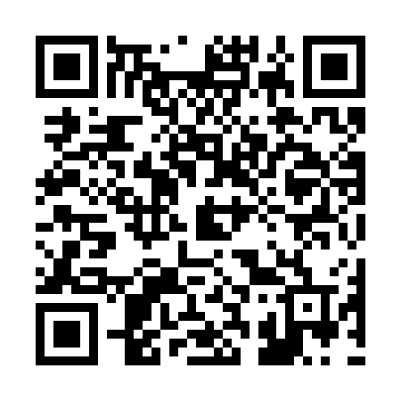 QR code for 2393GT