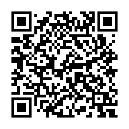 QR code for 2393QQ