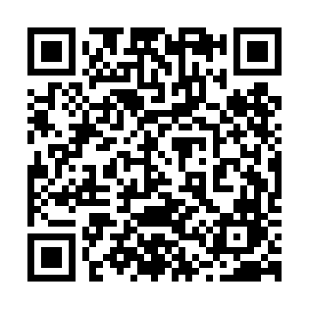 QR code for 241DFN