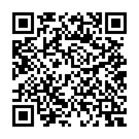 QR code for 2424VIN