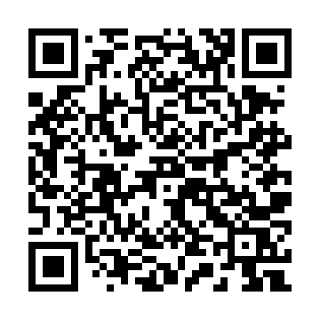 QR code for 246DNS