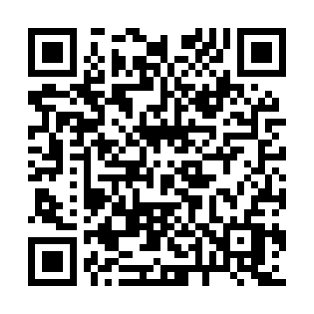 QR code for 246MSV