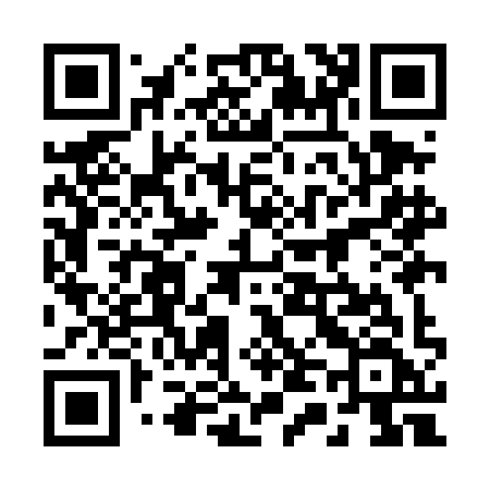 QR code for 249DIF