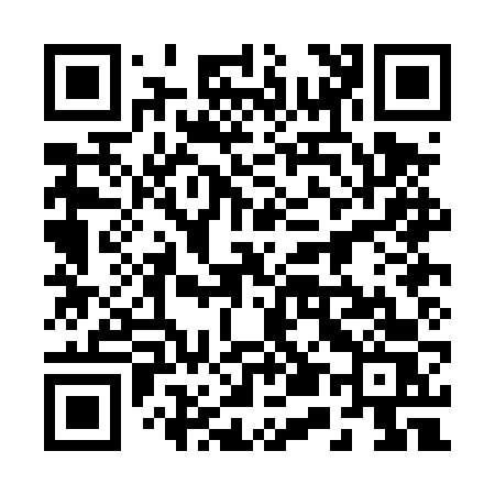 QR code for 250DVS