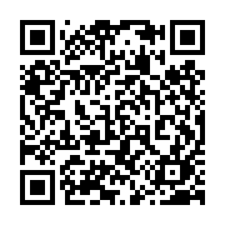 QR code for 251DQL