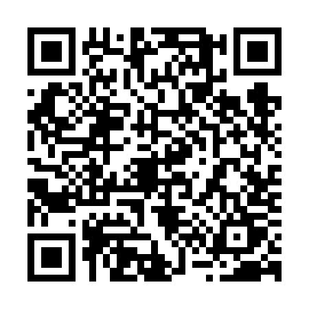 QR code for 2636OTP