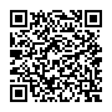 QR code for 2656YZN