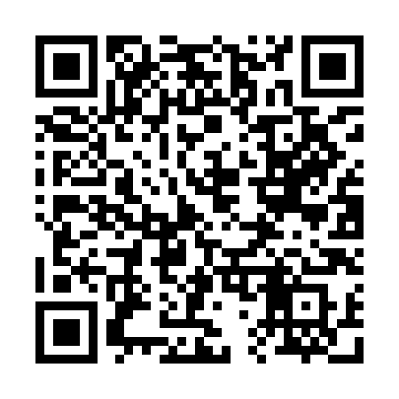 QR code for 272IHS